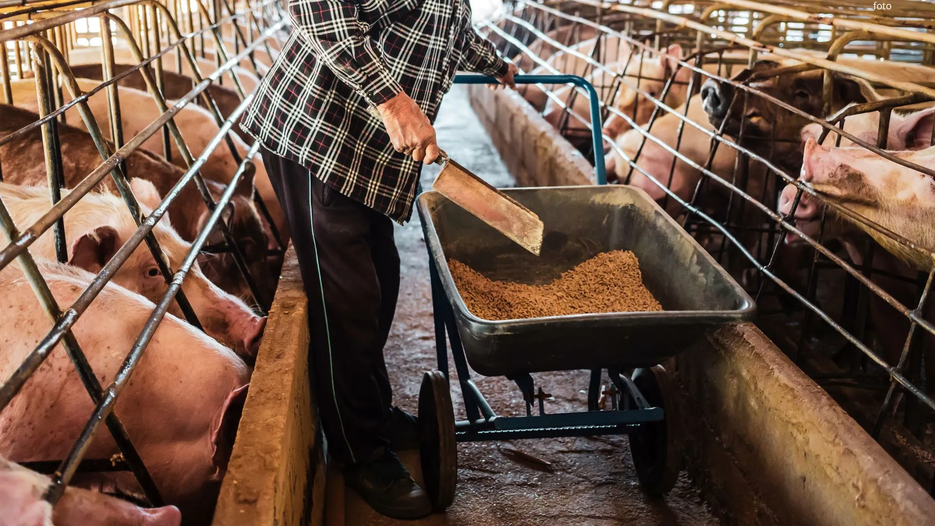Artigo sobre nutrição