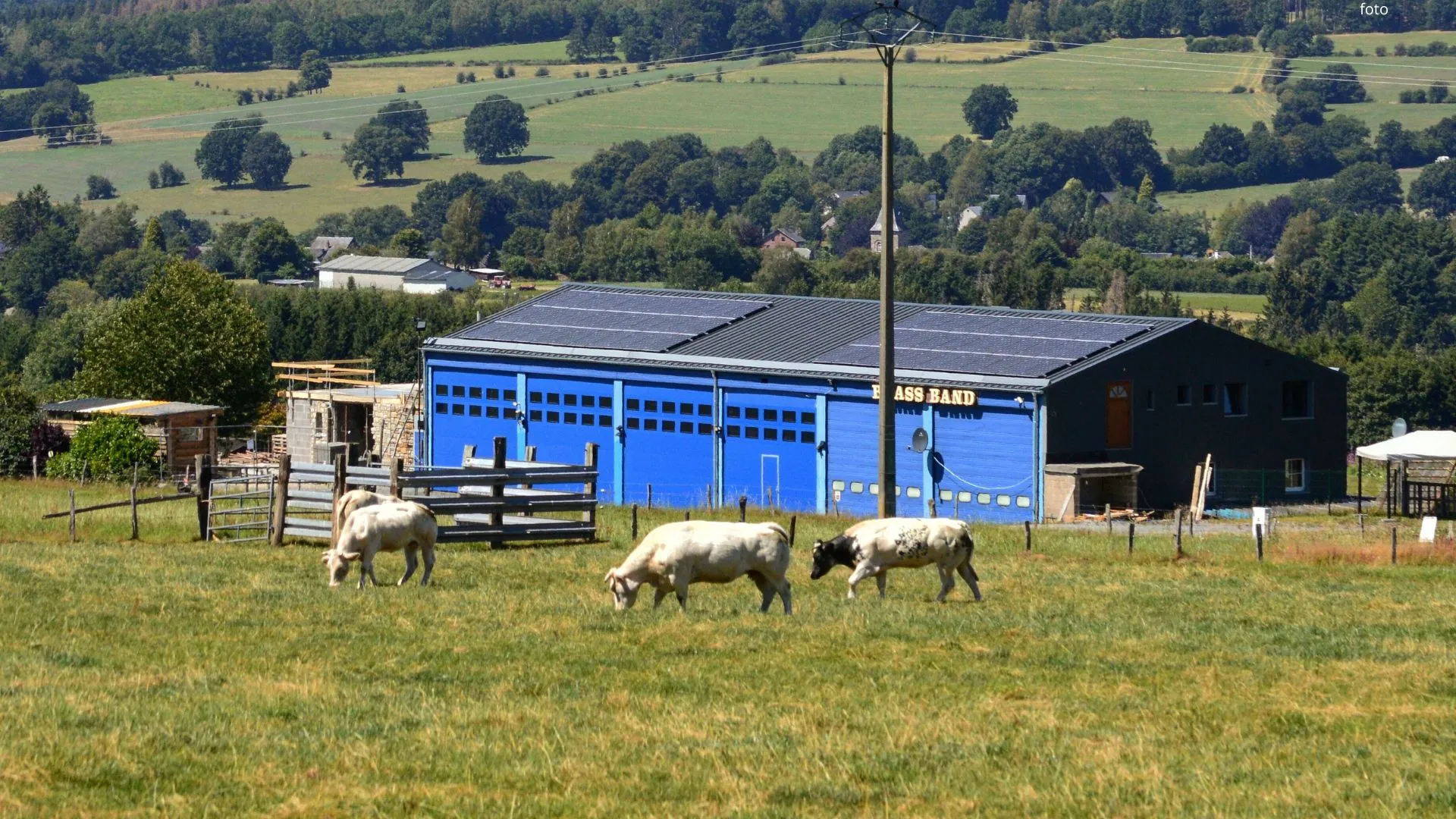 Artigo sobre nutrição