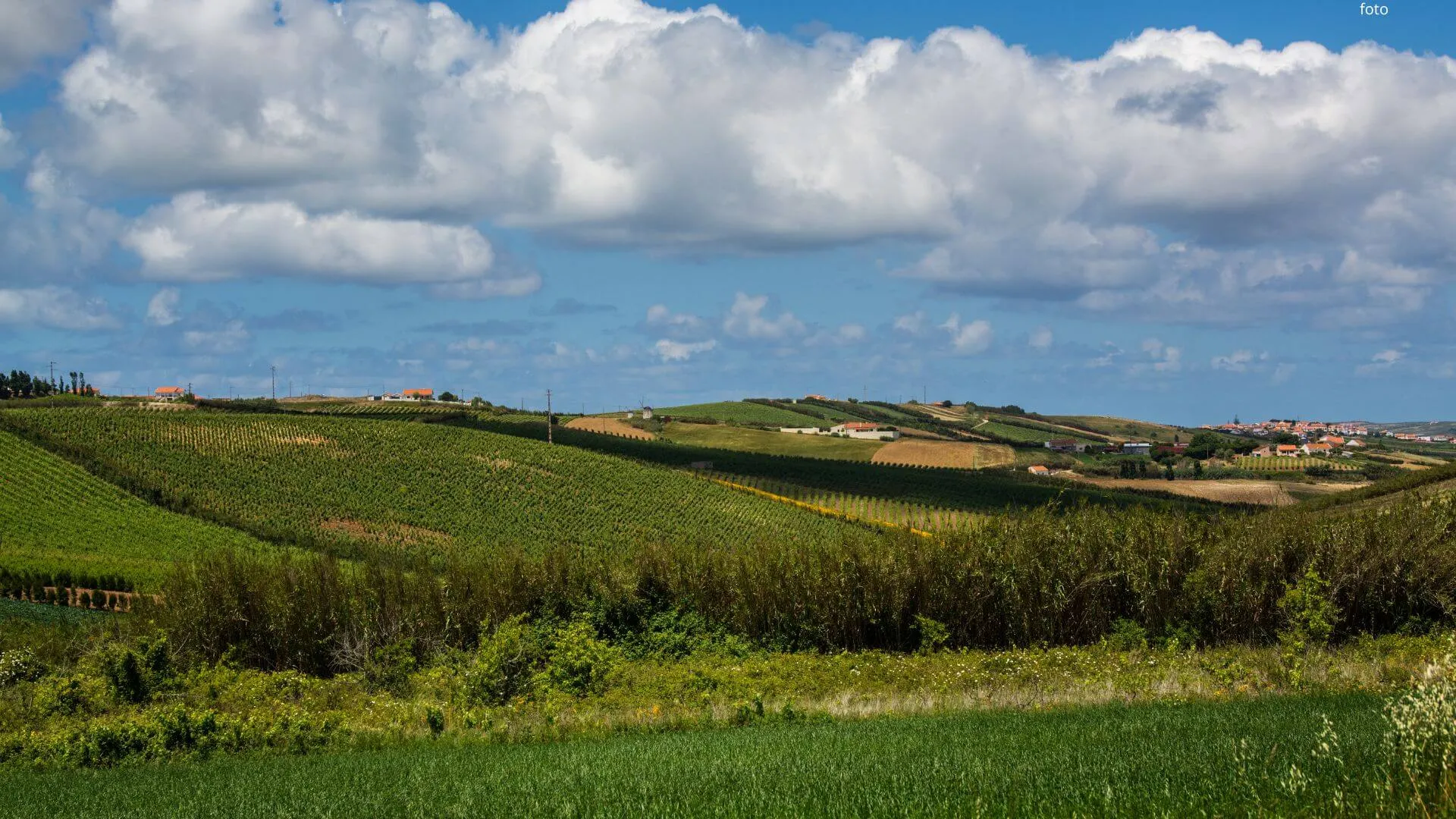 SPR Rações reforça presença no setor agrícola em Torres Vedras