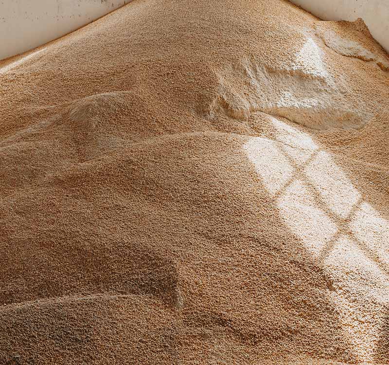 Ração Suínos Premium